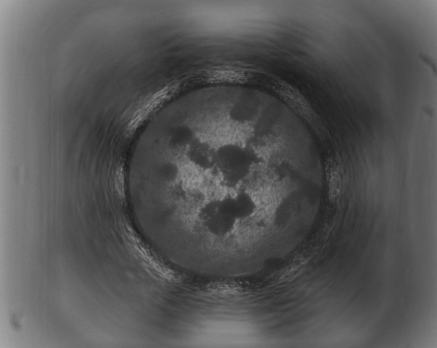 X0000103320729200809121147