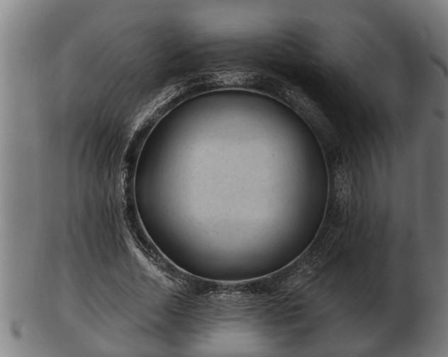 X0000103320730200809121147