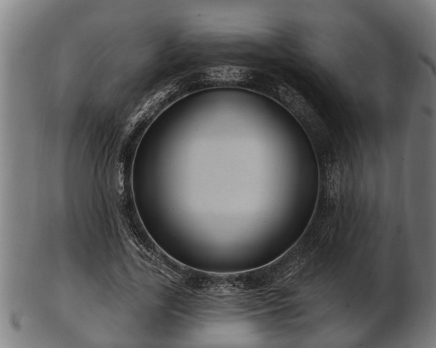 X0000103320731200809121147