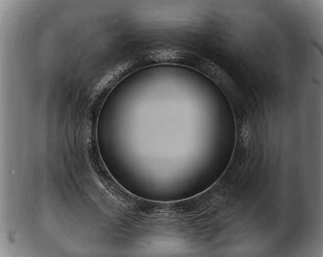 X0000103320732200809121147