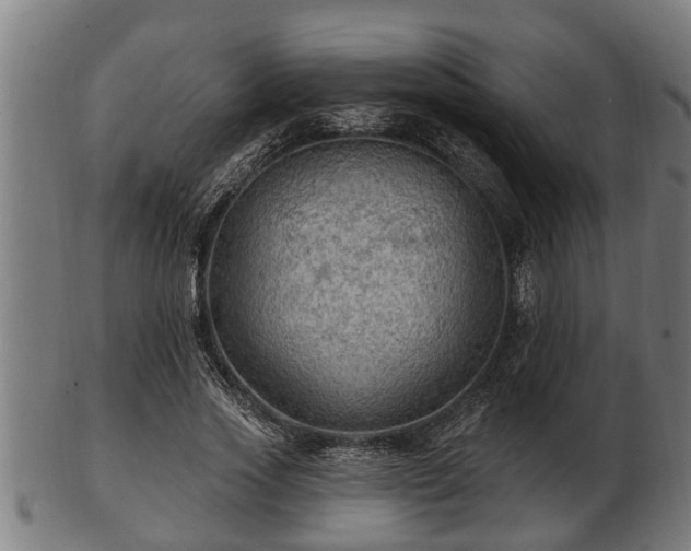 X0000103320733200809121147