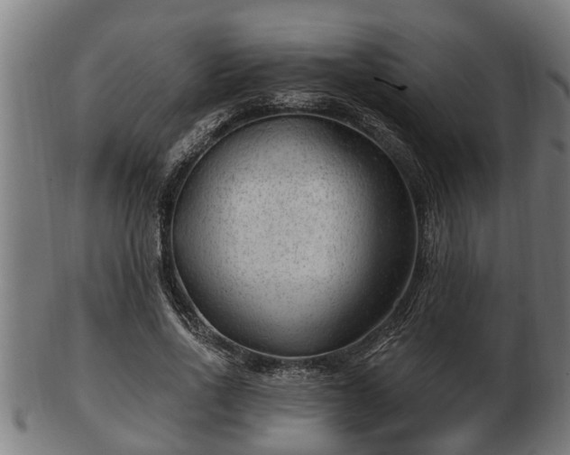 X0000103320734200809121147