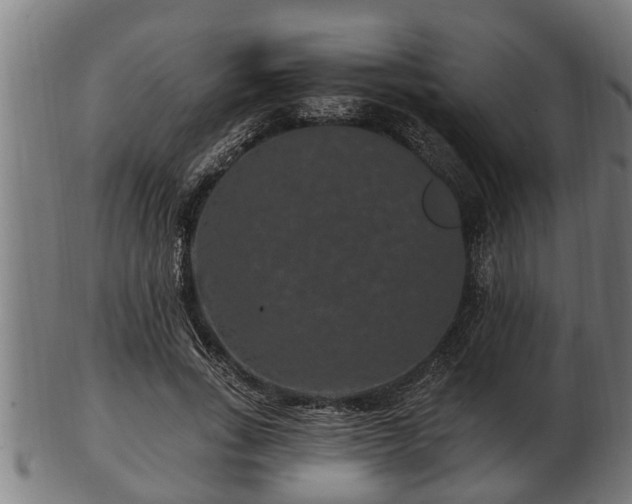 X0000103320735200809121147