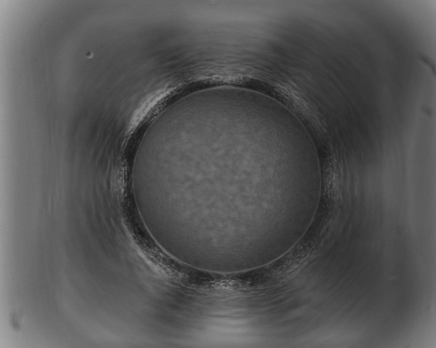 X0000103320736200809121147