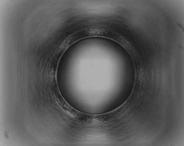 X0000103320737200809121147