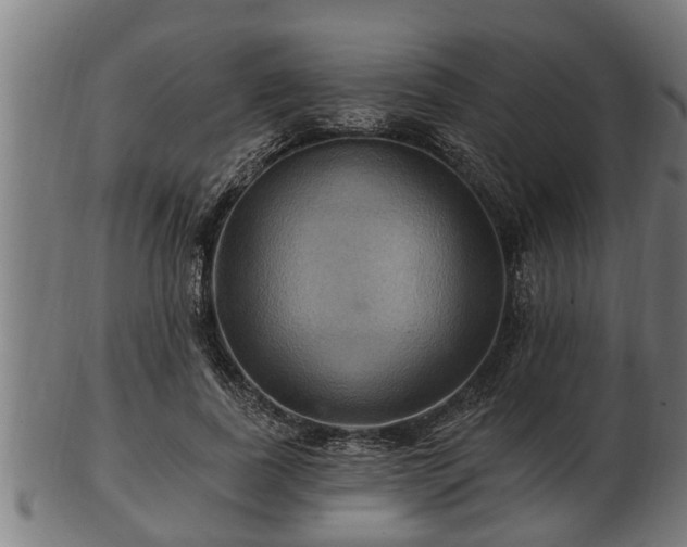 X0000103320739200809121147