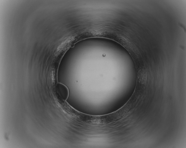 X0000103320740200809121147