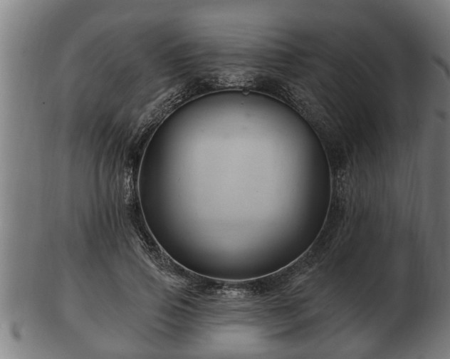 X0000103320741200809121147