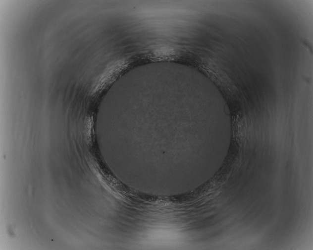 X0000103320742200809121147