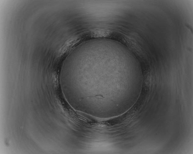 X0000103320743200809121147