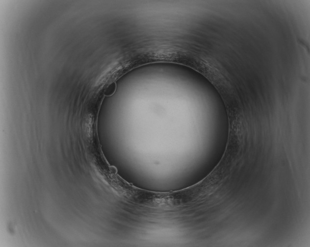 X0000103320744200809121147