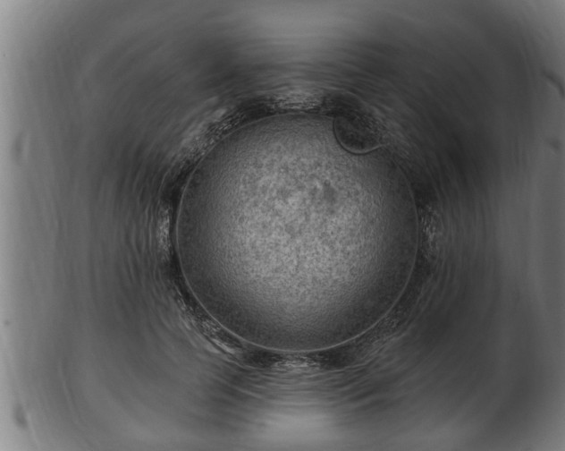 X0000103320745200809121147