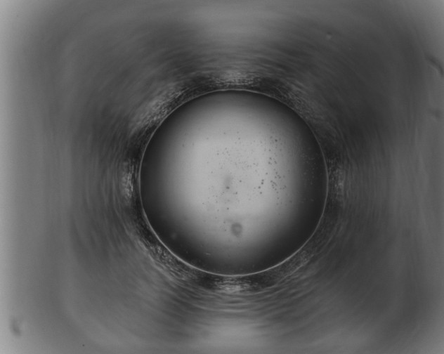 X0000103320746200809121147