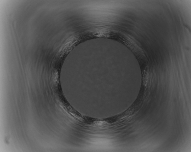 X0000103320748200809121147