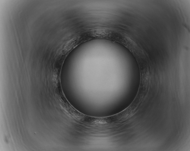 X0000103320749200809121147