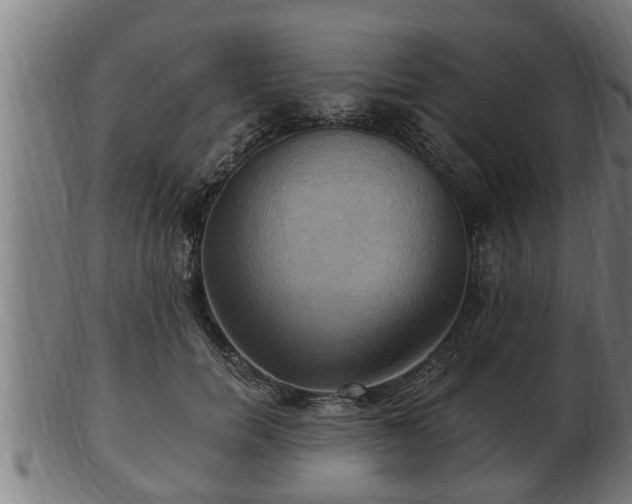 X0000103320750200809121147