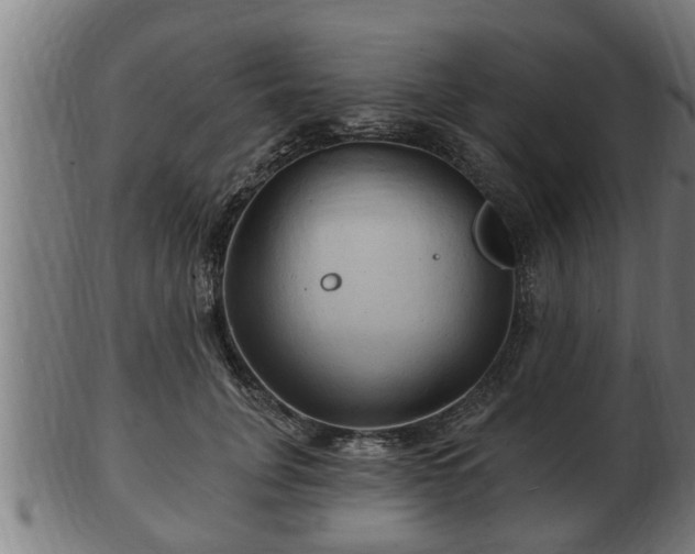 X0000103320751200809121147