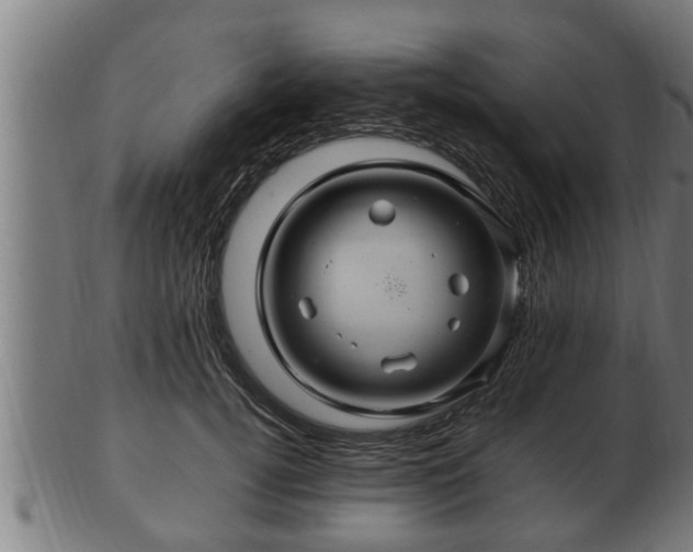 X0000103320752200809121147