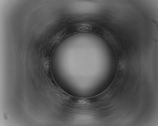 X0000103320753200809121147