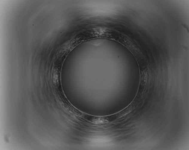 X0000103320754200809121147