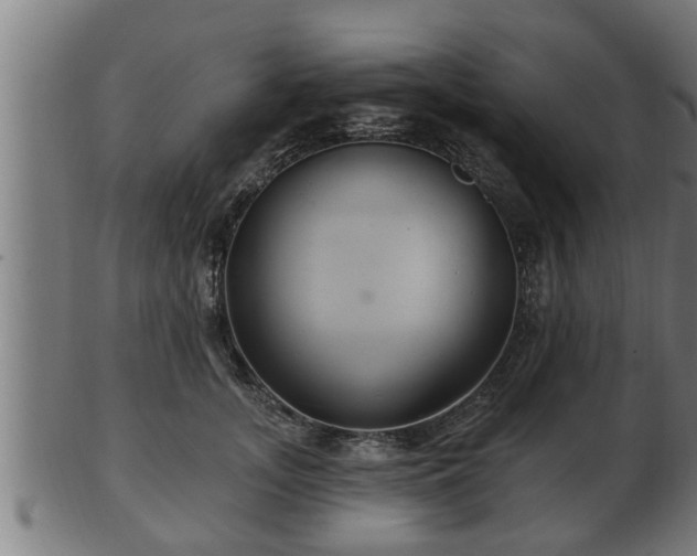 X0000103320755200809121147