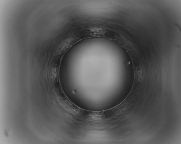 X0000103320756200809121147