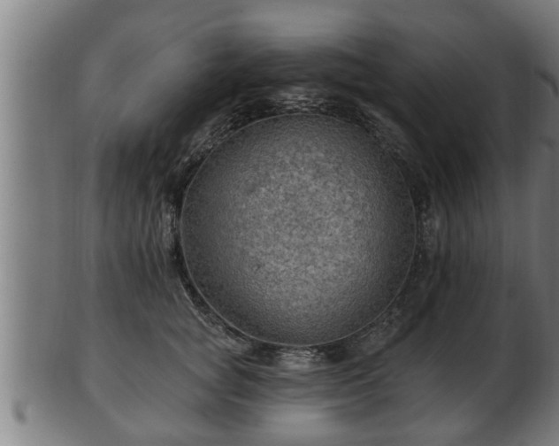 X0000103320757200809121147