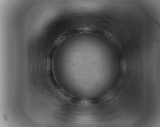 X0000103320760200809121148