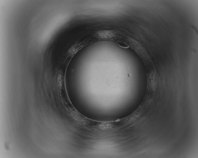 X0000103320762200809121148