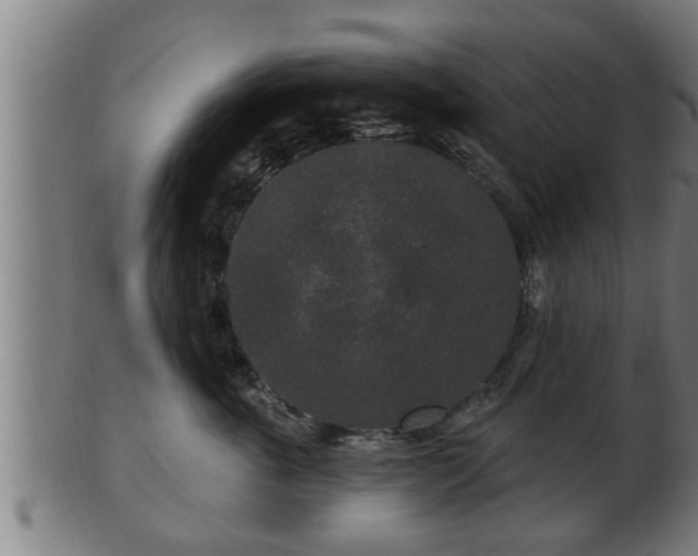 X0000103320763200809121148