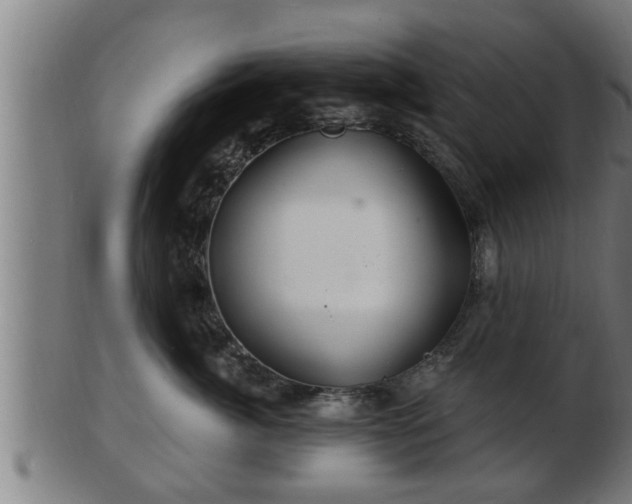 X0000103320764200809121148