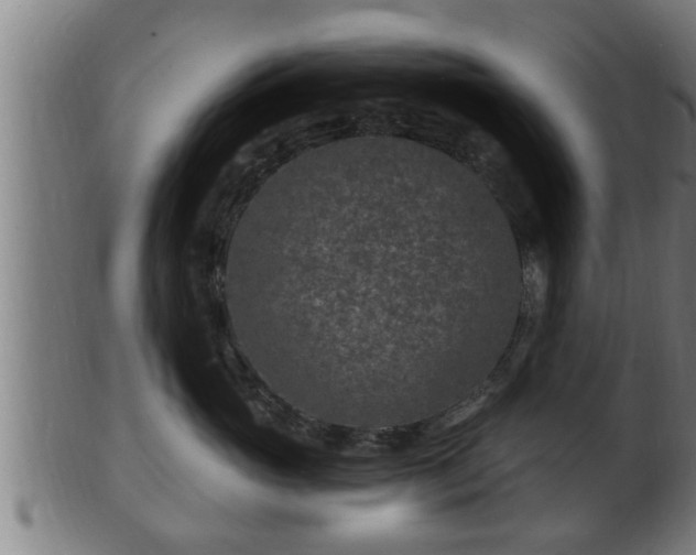 X0000103320765200809121148