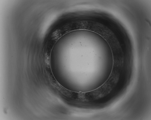 X0000103320766200809121148