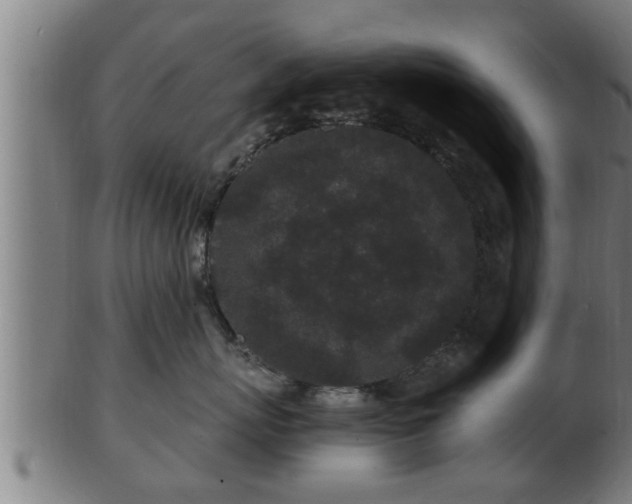 X0000103320767200809121148