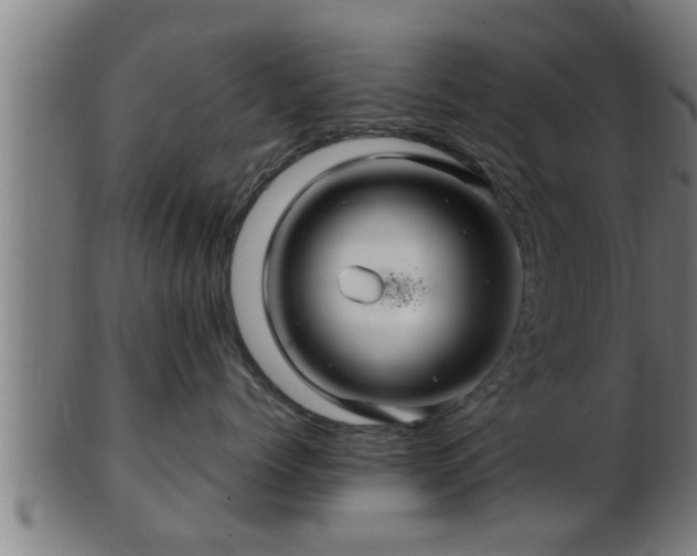 X0000103320768200809121148