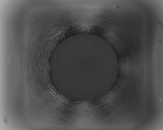 X0000103320769200809121147