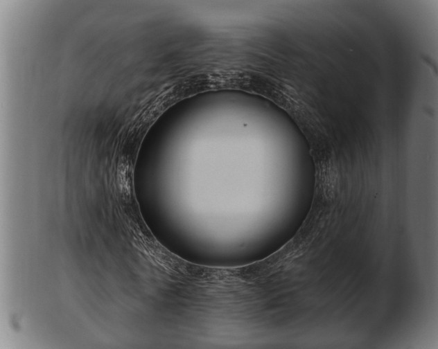 X0000103320770200809121147