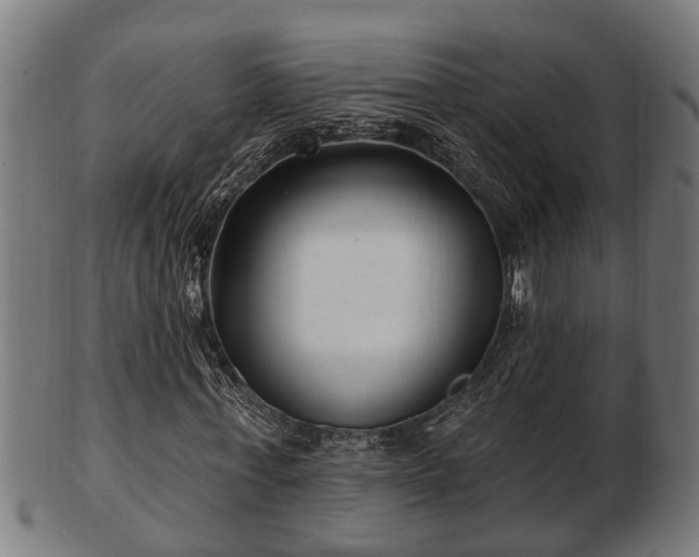 X0000103320771200809121147