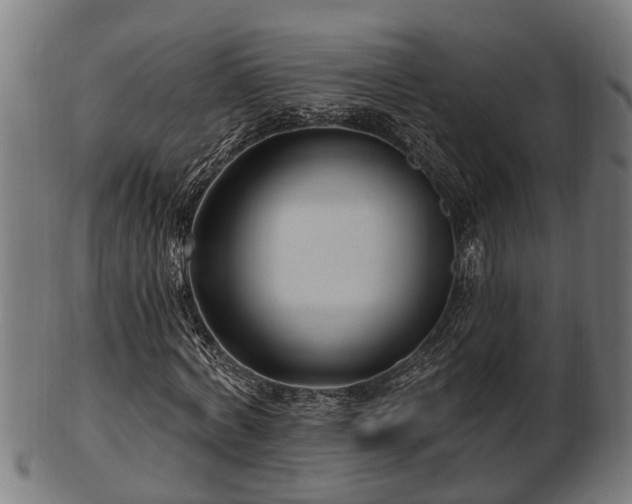 X0000103320772200809121147