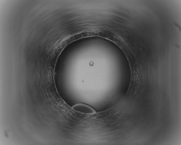 X0000103320773200809121147