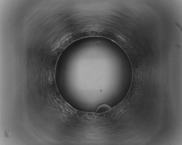 X0000103320774200809121147