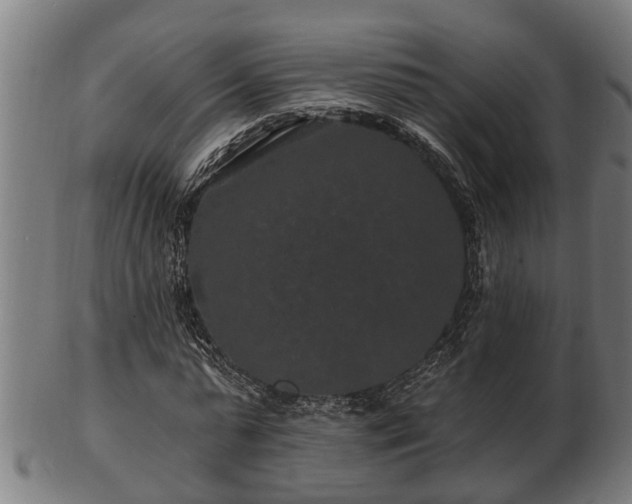 X0000103320775200809121147