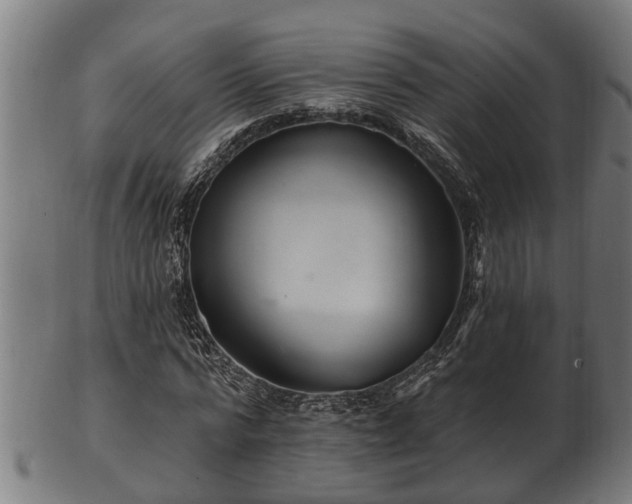 X0000103320776200809121147