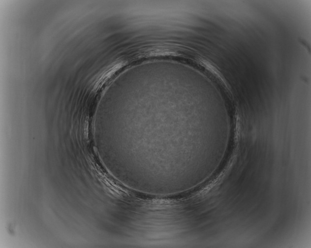 X0000103320777200809121147