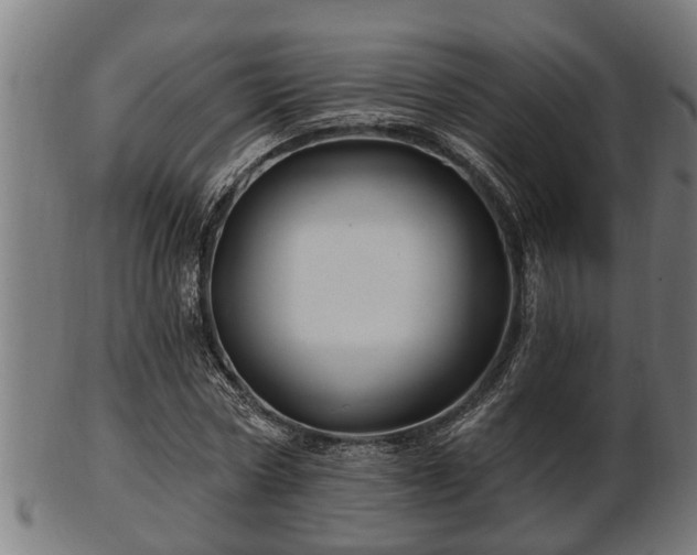 X0000103320778200809121147