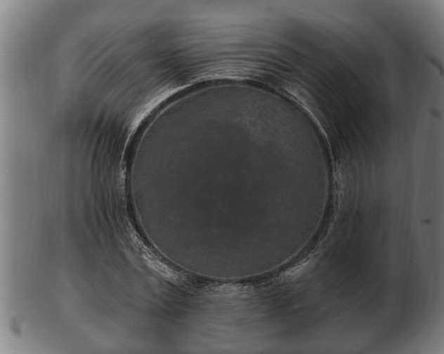 X0000103320779200809121147