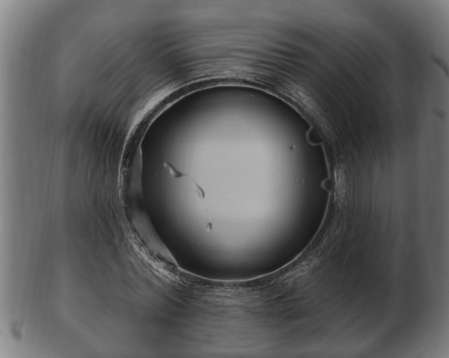 X0000103320780200809121147