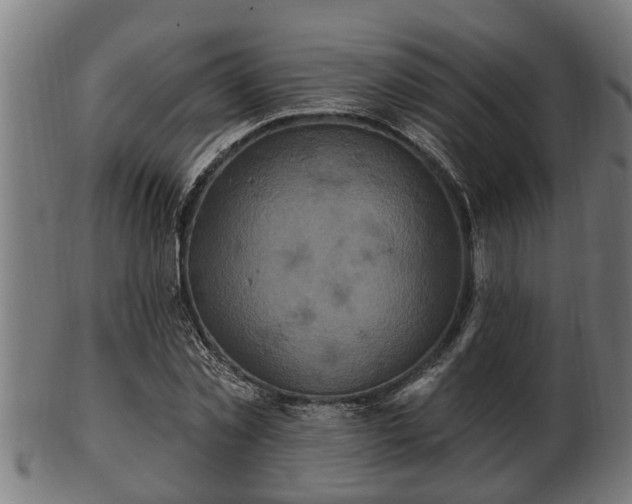 X0000103320781200809121147