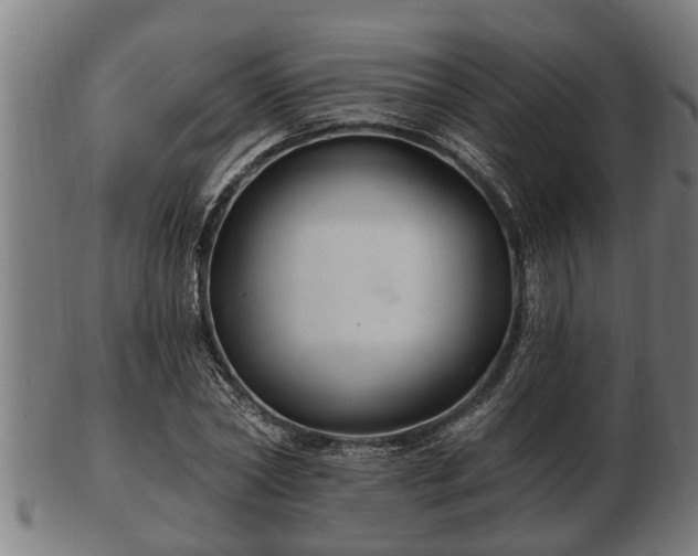 X0000103320782200809121147