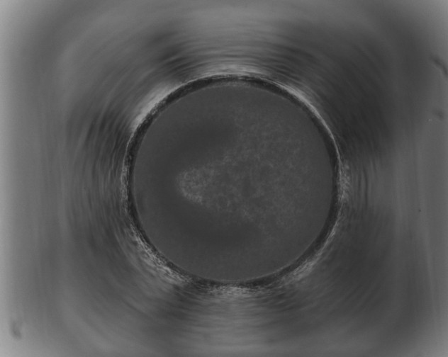 X0000103320783200809121147